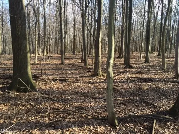 8036 Fair Rd, Strongsville, OH 44149