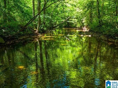 County Road 540 #0, Woodland, AL, 36280