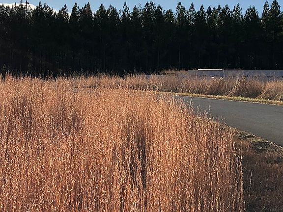 5th image of 0 Pine Watch Cir Lot 16