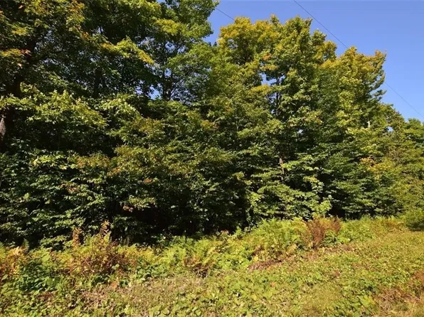 11232 N Sun-N-Sno Road, Hayward, WI 54843