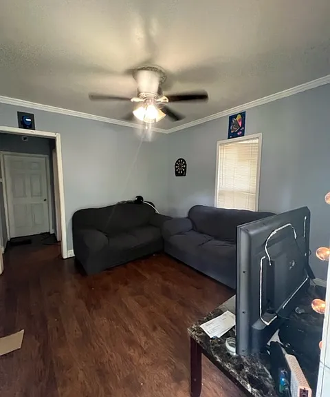203 Maple St #ST1 — Photo 2