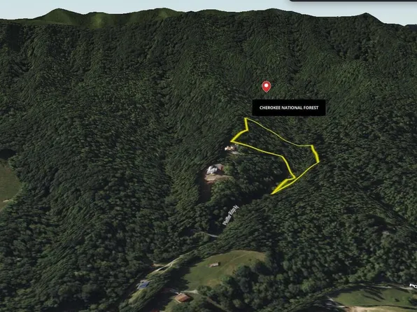157 Pfeiffer Ridge Rd, Johnson City, TN 37601
