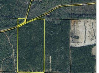 0 Mitchell Rd, Ponce De Leon, FL 32455