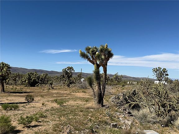 4th image of 327-02-360 SQUAW Drive