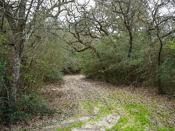 3rd image of County Road 154