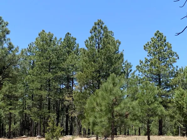2456 Woody Pine Dr, Happy Jack, AZ 86024