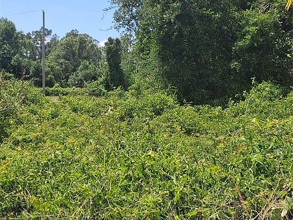3rd image of N HOLLOWAY AVENUE LOT 38