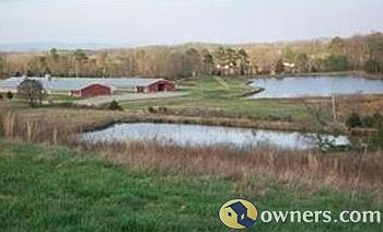 Hill overlooking pond