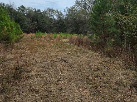 3rd image of 861 Brinson Road