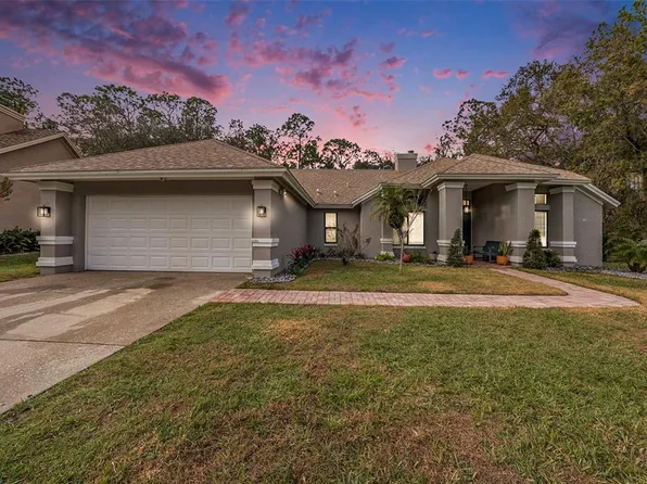 16056 Penwood Dr, Tampa, FL 33647