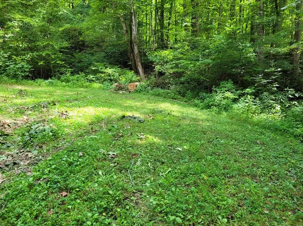 9 Noel Rdg, Hayesville, NC 28904