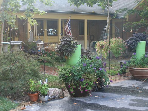 Front fall view
