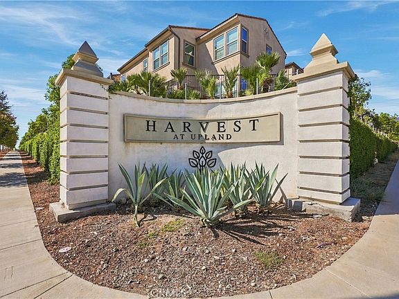 4th image of 881 Pear Ct