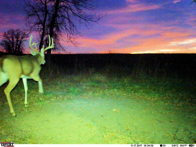 1st image of 240TH St. Greenwood County