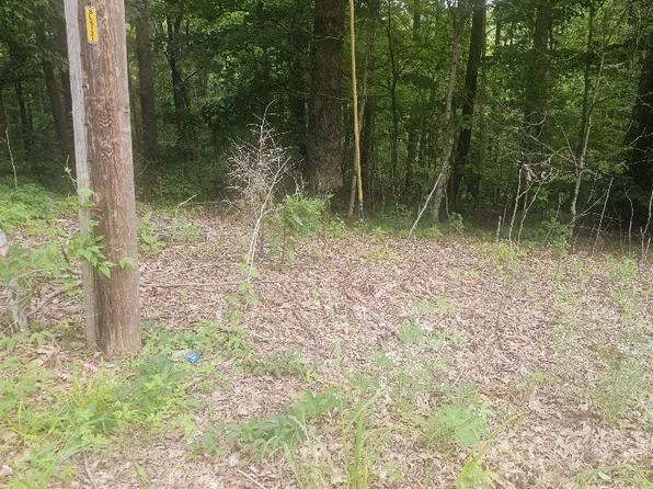 0 Scenic Dr Lot 44, Dickson, TN 37055