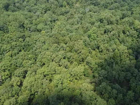 0 County Road 405, Williamsville, MO 63967