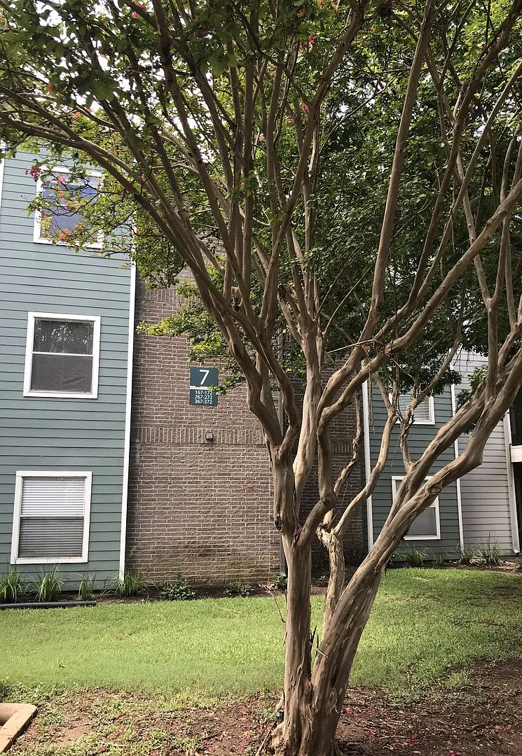 Building Photo - 12166 Metric Blvd #267