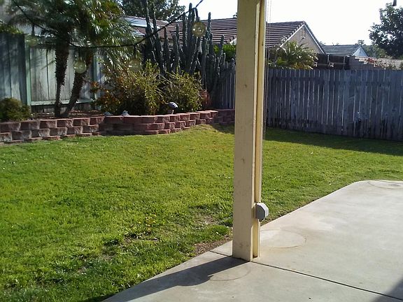 landscaped rear yard