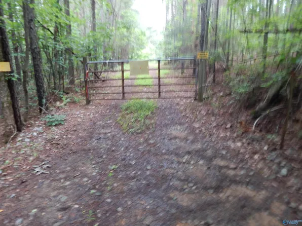 Monte Vista Dr, Scottsboro, AL 35768