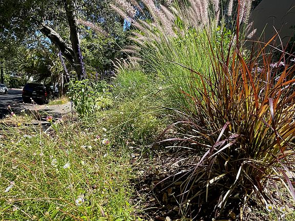 Front yard outside the studio
