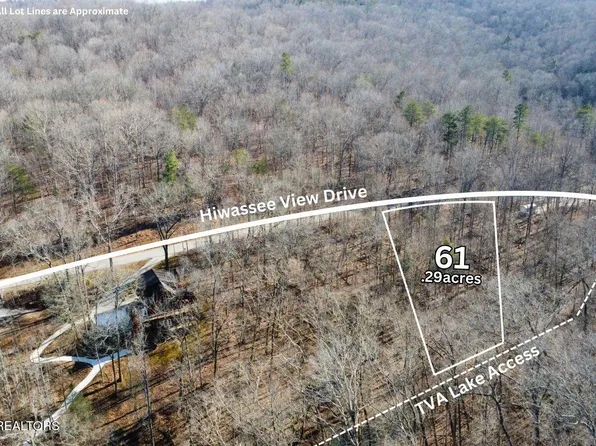 LOT 61 Hiwassee View Dr, Jacksboro, TN 37757