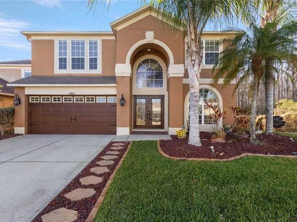 17953 Cunningham Ct, Land O Lakes, FL 34638