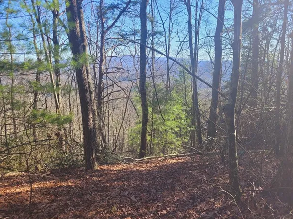 2933 McFarland Rd, Turtletown, TN 37391