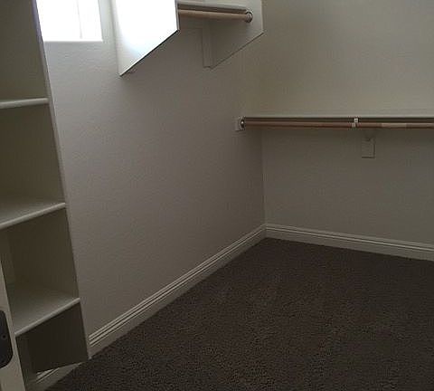 Master walk in closet 