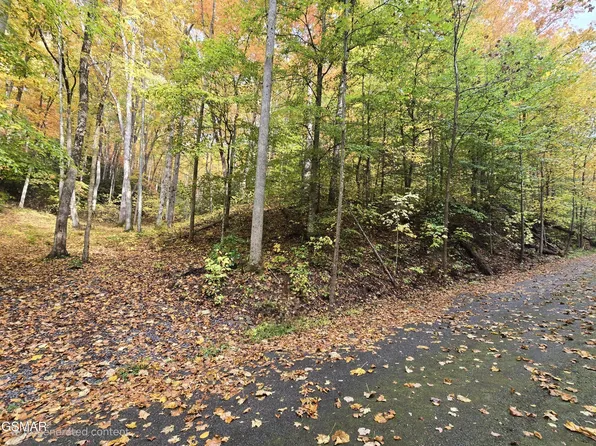 15 Sonshine Ridge Rd Lot 15, Cosby, TN 37722
