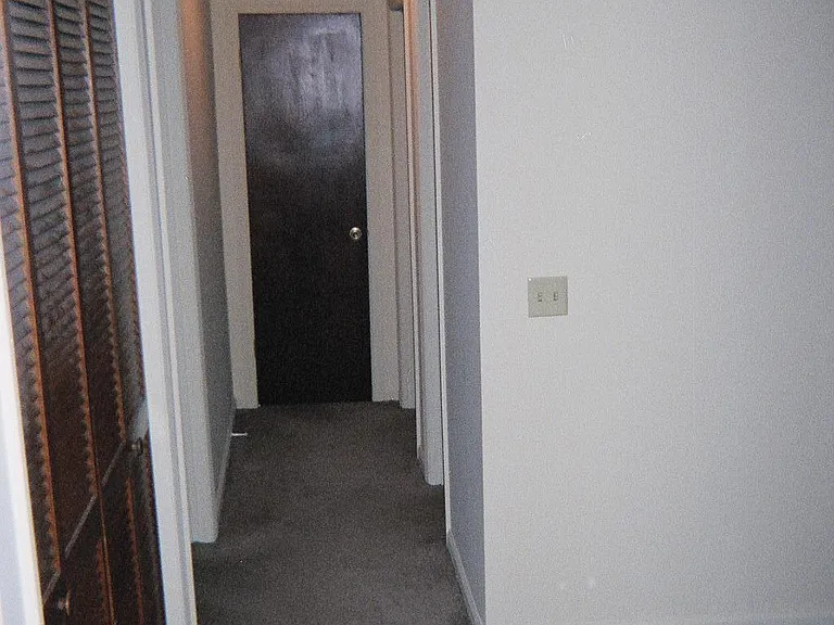 Dogwood Dr — Photo 7