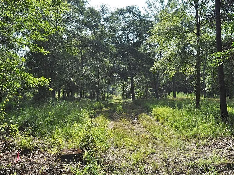 10955 Daw Collins Rd — Photo 2