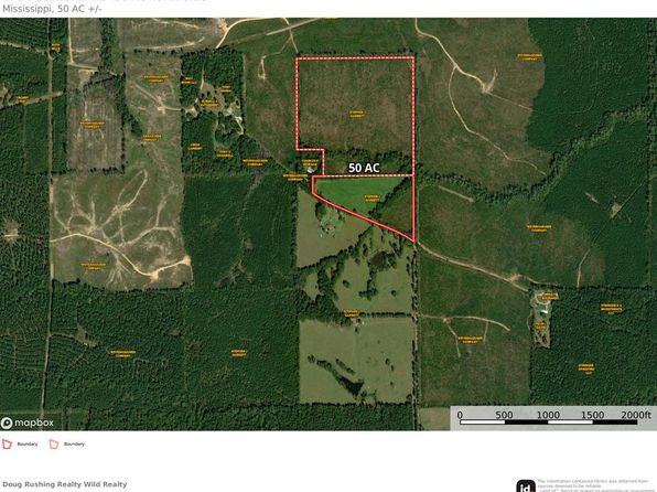 0 Duckworth Rd, Sontag, MS 39665