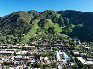 731 E Durant Ave #pt 24, Aspen, CO 81611