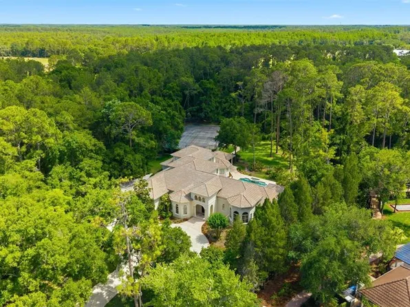 18901 Lakes Edge Way, Odessa, FL 33556