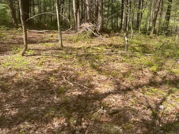 110 4th Gap Rd, Allenwood, PA 17810