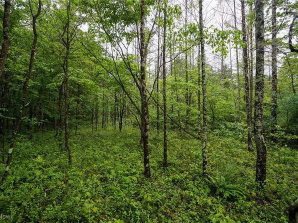 Township Road 460, Woodsfield, OH 43793