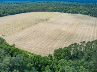 174 McAlpin Rd, Mc Alpin, FL 32062