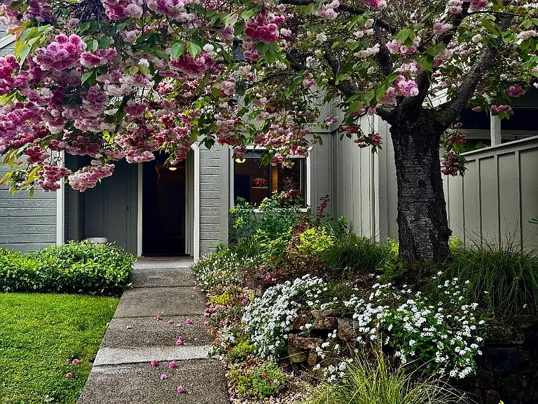 Bernice Ln — Photo 1