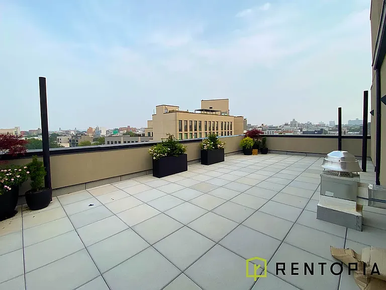 5 Withers St #4C — Photo 8
