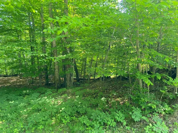 Tamarack St, Manistique, MI 49854