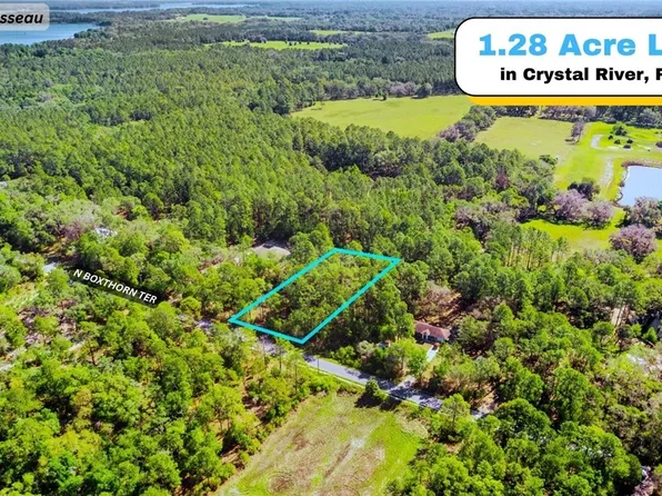 9127 N Boxthorn Ter, Crystal River, FL 34428