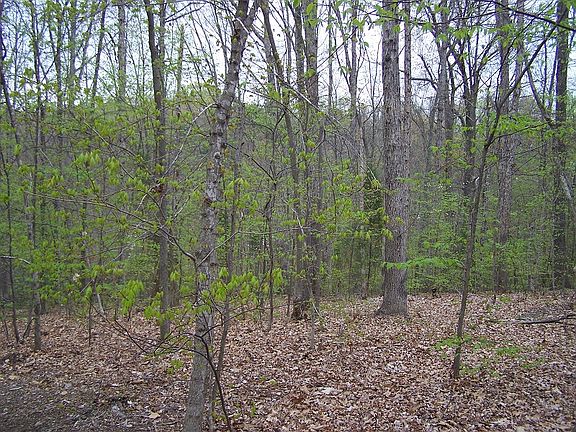 5th image of Lot 1 Bluebill Dr