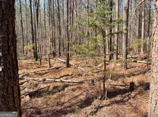 0 Joe Cook Rd LOT 1, Franklin, GA 30217