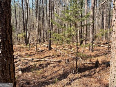 0 Joe Cook Rd LOT 1, Franklin, GA, 30217