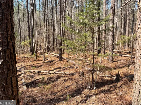 0 Joe Cook Rd Lot 1, Franklin, GA 30217