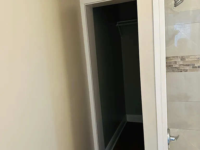 Downstairs Master Bathroom/Closet