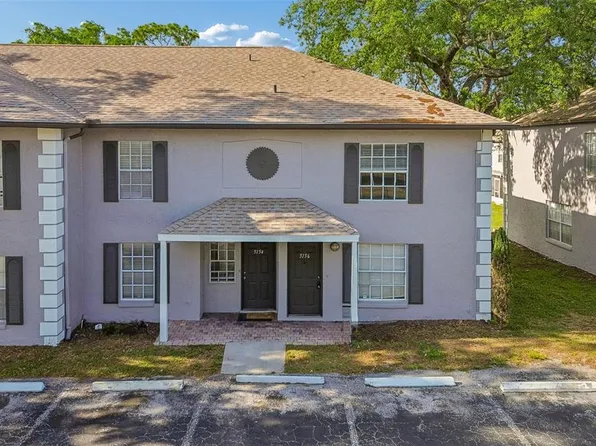 5156 Sunridge Palms Dr, Tampa, FL 33617