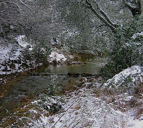 creek in winter