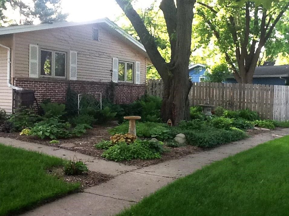 View of garden.