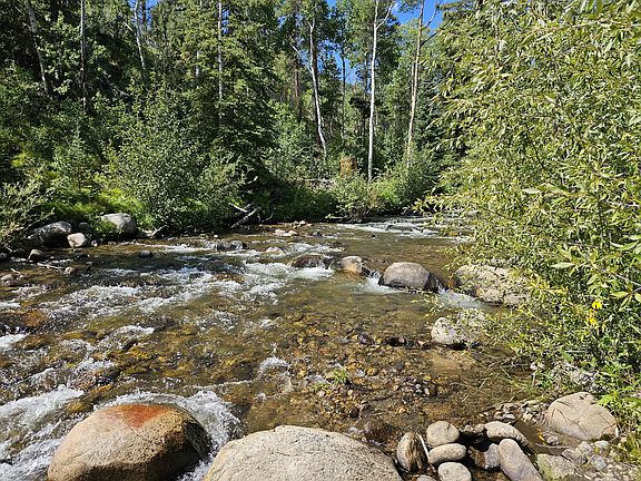 2nd image of 19039 Monarch River Dr
